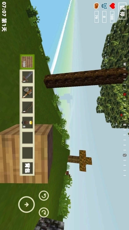 像素开放大世界