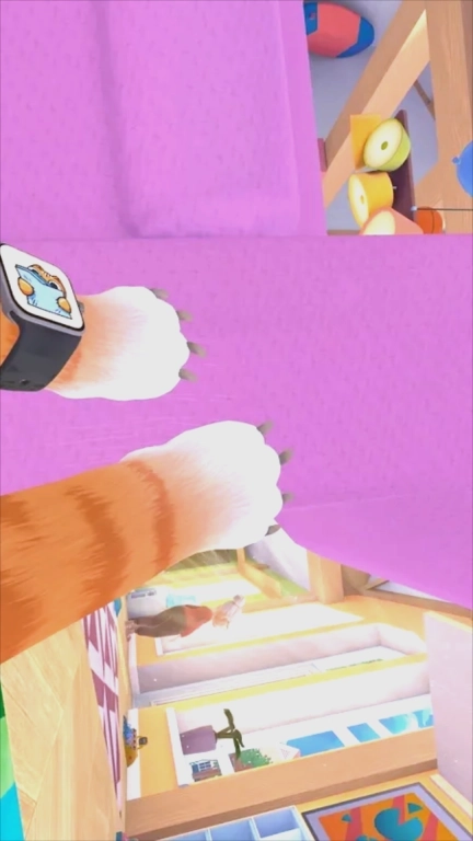 奶奶贴心小猫-我是猫