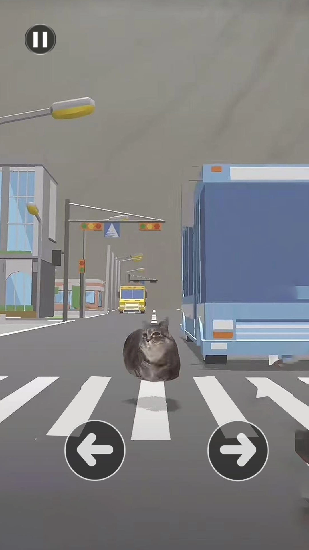 小猫爱冒险-Oi小猫过马路