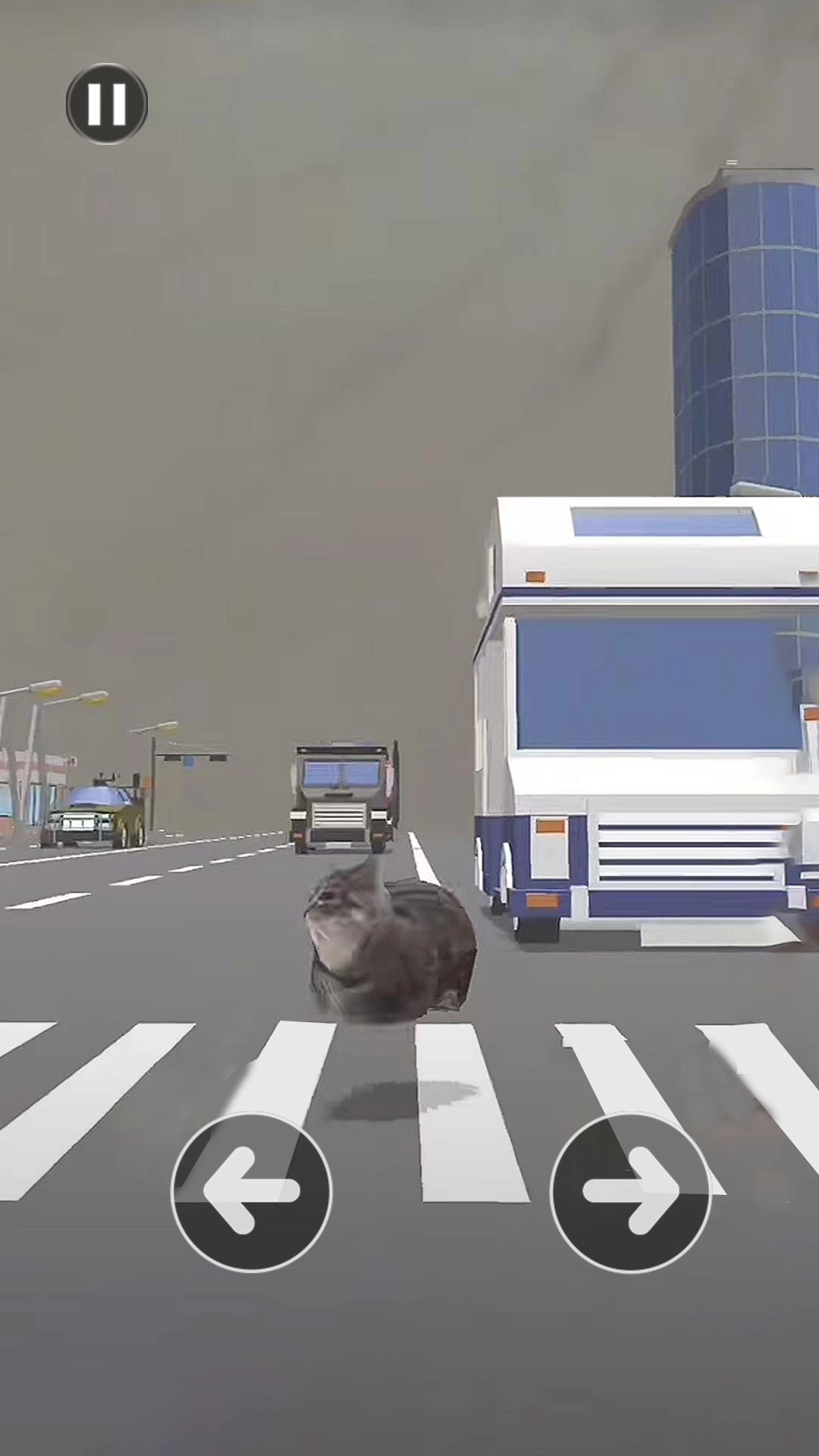 小猫爱冒险-Oi小猫过马路