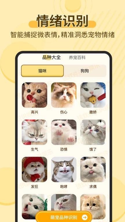 宠物猫狗交流助手