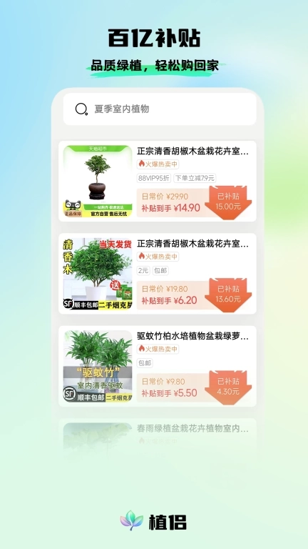 植侣