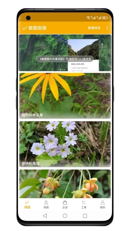 数图田调-田野调查助手