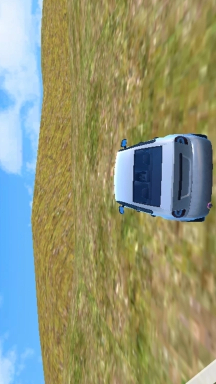 狂野赛车3D-模拟越野不限速狂飙