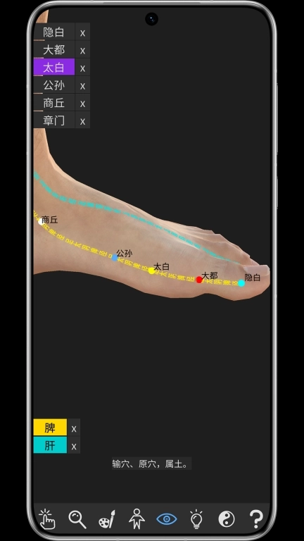 知之得芝-3D经络穴位子午流注