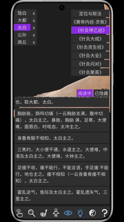 知之得芝-3D经络穴位子午流注