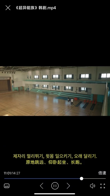 X字幕-视频实时翻译字幕专家