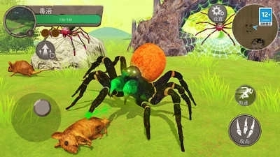 地球物种进化图3