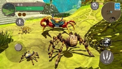 地球物种进化图2