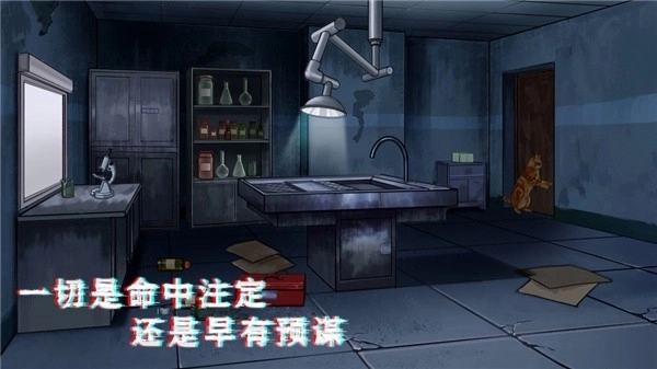 密室与猫图2