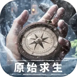 荒原曙光正版