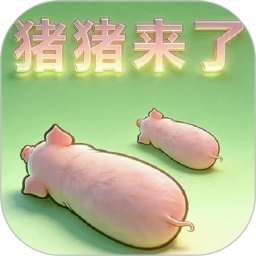 猪猪来了