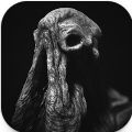 SARCOPH安卓移植版
