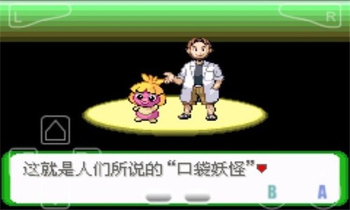 口袋妖怪空之花神