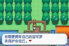 口袋妖怪梦的光点初始精灵选择界面