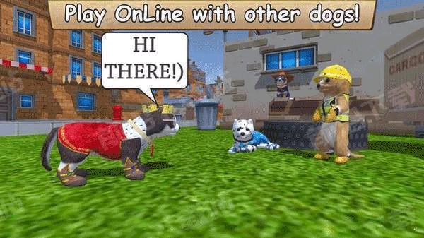 Zoom与动物Zoom图2