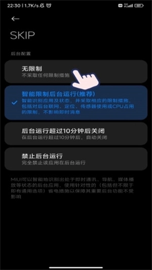 SKIP图1