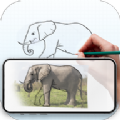 Draw: Trace Sketch绘画app手机版
