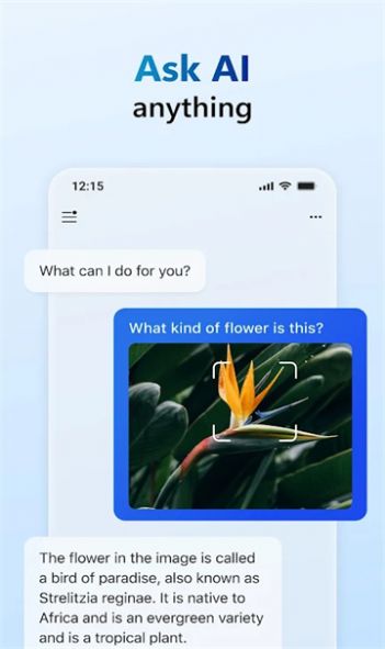 copilot官方版app图3