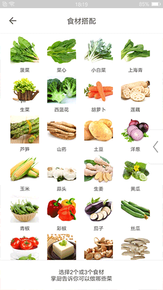 掌厨手机版图3