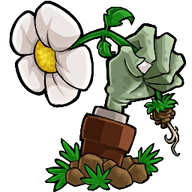 植物大戰僵尸轉基因版最新版