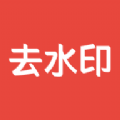 AI去水印软件官方版