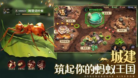 小小蚁国最新版图1