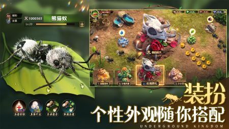 小小蚁国最新版图2
