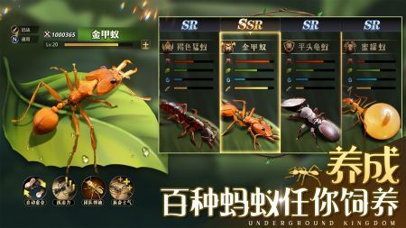 小小蚁国最新版图3