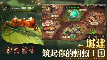 小小蚁国官网图3