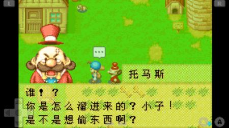 矿石镇的伙伴们图2