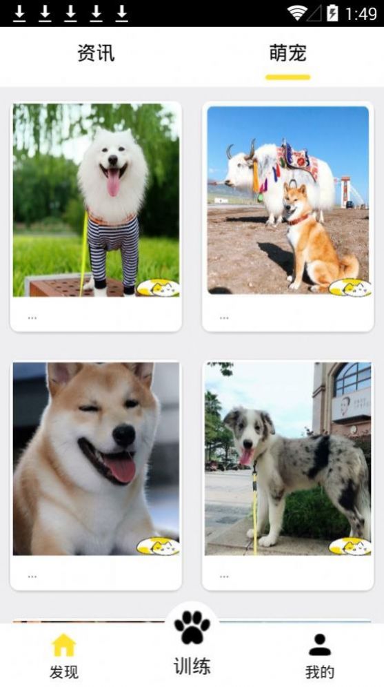 训狗养狗助手app免费最新版图3
