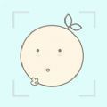 Moments手帐苹果版app