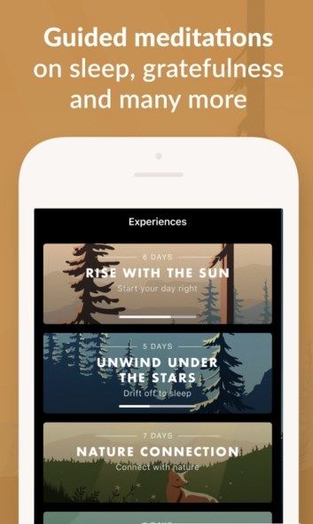 Wild Journey冥想安卓软件图2