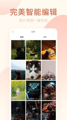 美颜相机专业版app软件图1