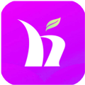 盒子市场电视版安卓app