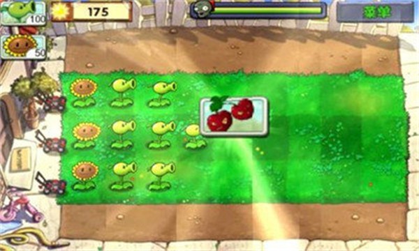 植物大战僵尸1中文正版图3