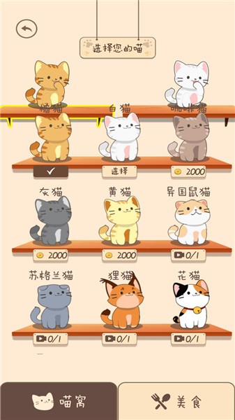 夏天的樂隊圖2