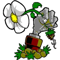 植物大战僵尸射击版