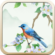 诗词大挑战红包版