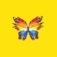 金兰进口 v1.2.993