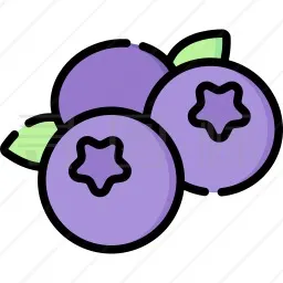 蓝莓音乐安卓版 v2.0