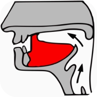 英语自然拼读课堂 v1.2