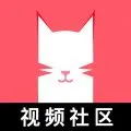 猫咪视频2025最新版 v3.0