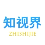 知视界