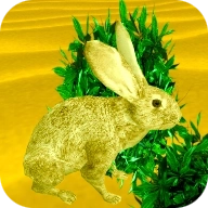 水晶沙漠 v1.0.0.6