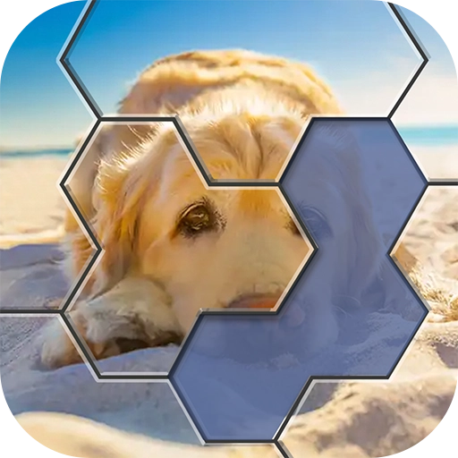 王者拼图2最新版 v1.1.3