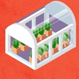 天天种菜红包版