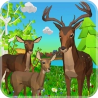 一只非常普通的鹿