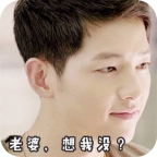 宋仲基表情包